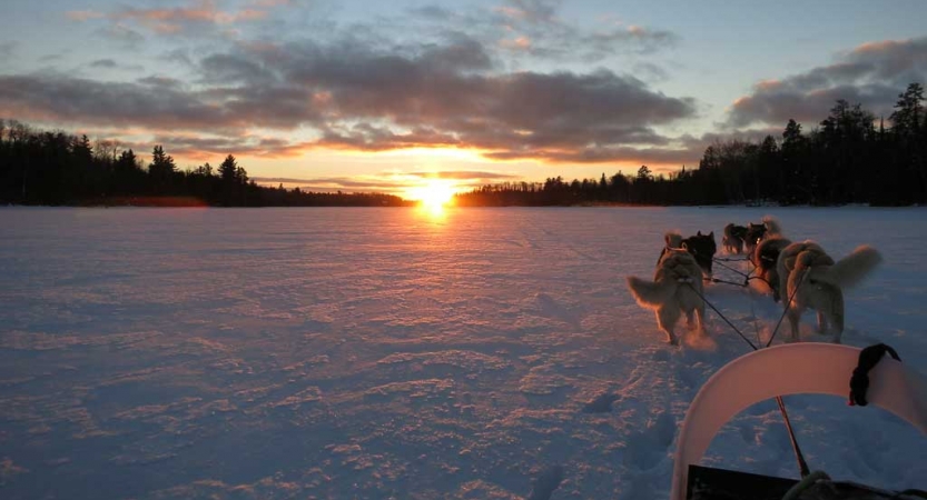 From the point of view of a sled being pulled by dogs across a snowy landscape, the sun sets. 